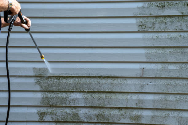 Best Demolition Debris Removal  in Shorewood Forest, IN