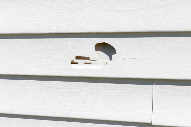 Best Moving and Downsizing Cleanouts  in Shorewood Forest, IN