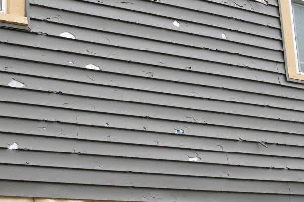 Best Property Management Cleanouts  in Shorewood Forest, IN